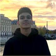 Étudiant Ingénieur expérimenté donne des cours en Mathématiques/Physique/Informatique ( Collége + Lycée + CPGE )